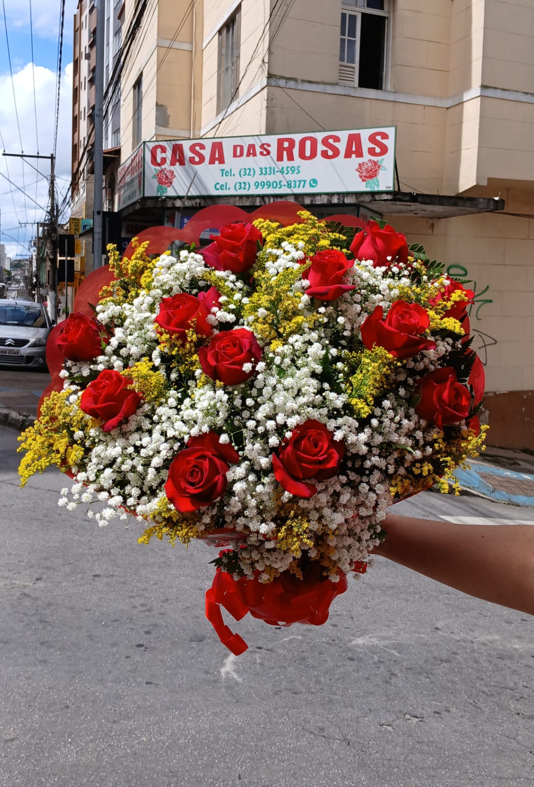 Buque uma duzia vermelho