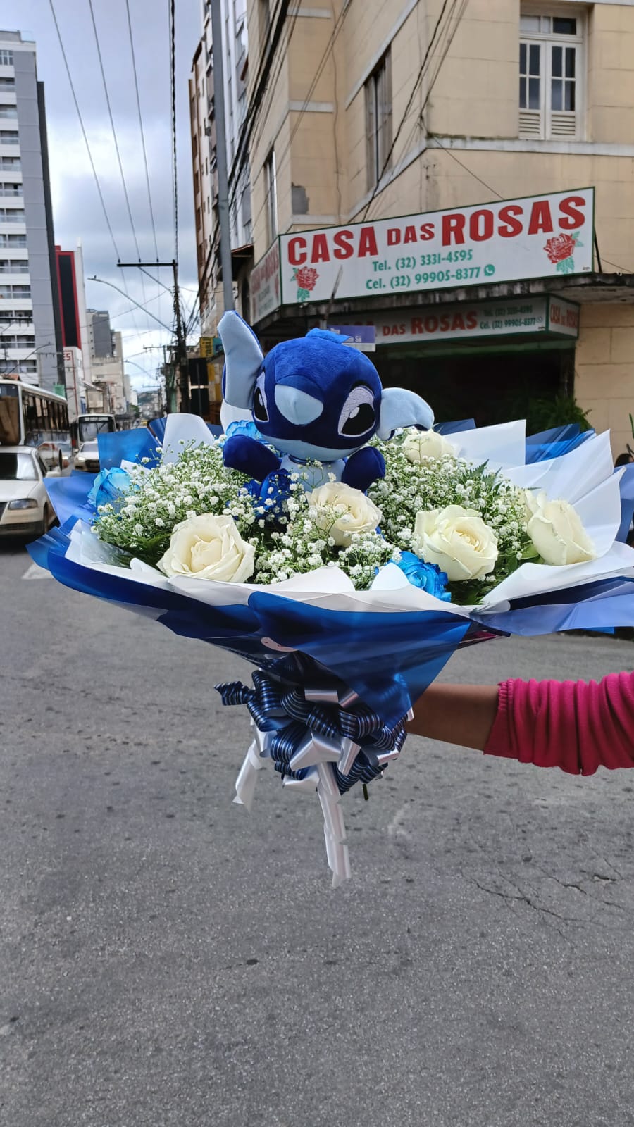Buque do stitch
